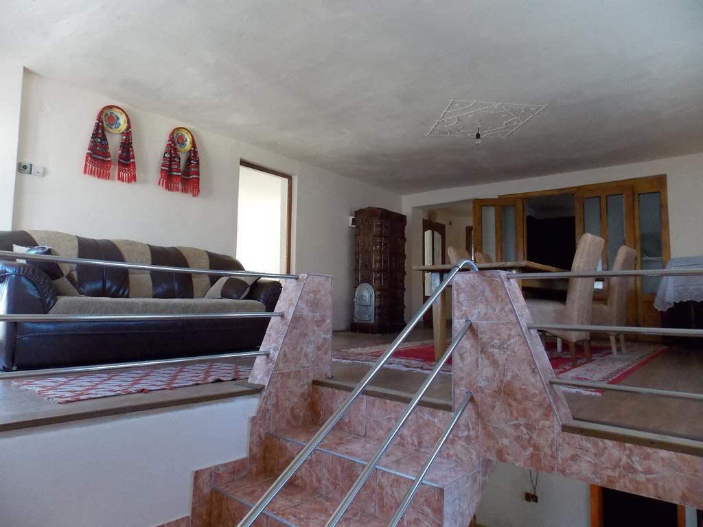 Pensiunea Marin Rona de Jos المظهر الخارجي الصورة